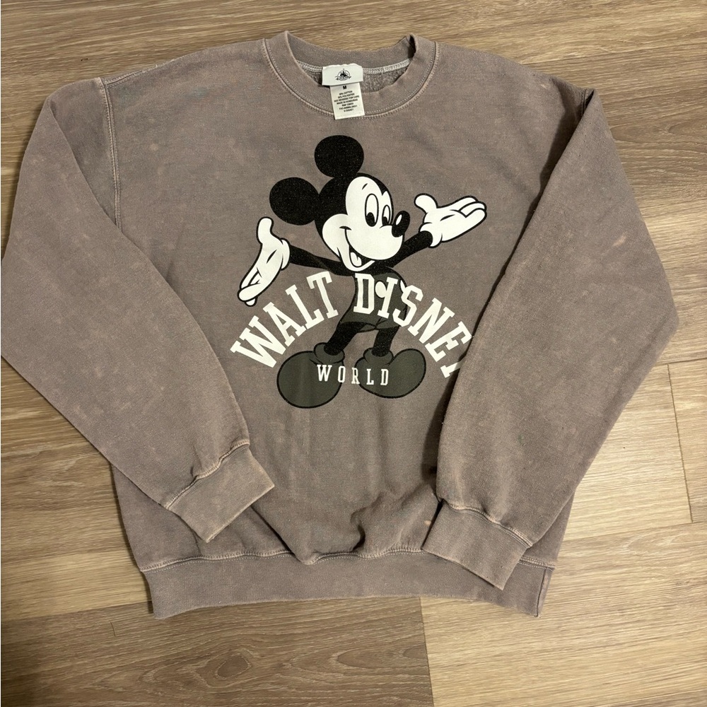 Disney World Brown Sweater